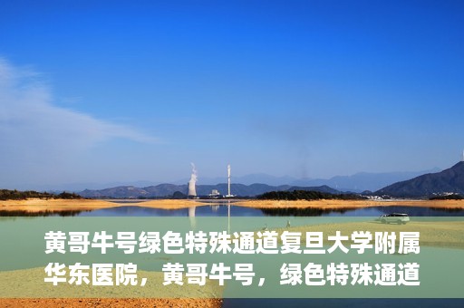 黄哥牛号绿色特殊通道复旦大学附属华东医院，黄哥牛号，绿色特殊通道揭秘，华东医院新篇章开启