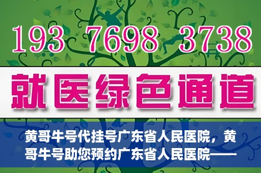 黄哥牛号代挂号广东省人民医院，黄哥牛号助您预约广东省人民医院——便捷代挂号服务