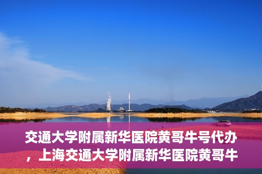 交通大学附属新华医院黄哥牛号代办，上海交通大学附属新华医院黄哥牛号代办服务解析