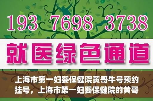 上海市第一妇婴保健院黄哥牛号预约挂号，上海市第一妇婴保健院的黄哥牛号预约挂号攻略