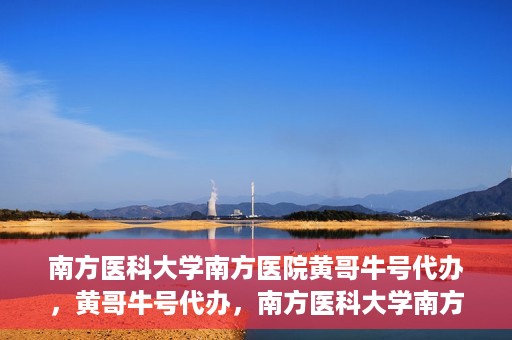 南方医科大学南方医院黄哥牛号代办，黄哥牛号代办，南方医科大学南方医院就医新选择