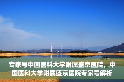 专家号中国医科大学附属盛京医院，中国医科大学附属盛京医院专家号解析