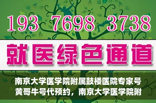南京大学医学院附属鼓楼医院专家号黄哥牛号代预约，南京大学医学院附属鼓楼医院专家号预约服务解析，黄哥牛号代预约详解