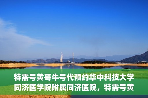 特需号黄哥牛号代预约华中科技大学同济医学院附属同济医院，特需号黄哥牛号预约服务在同济医院开启
