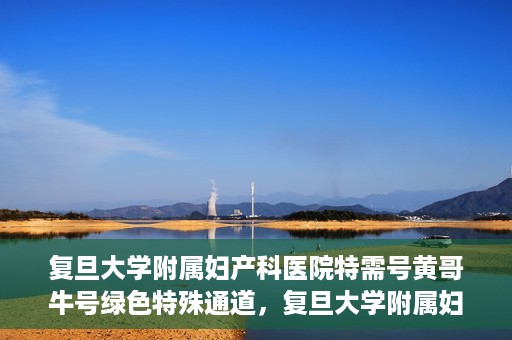 复旦大学附属妇产科医院特需号黄哥牛号绿色特殊通道，复旦大学附属妇产科医院特需号黄哥牛号，绿色就医通道揭秘