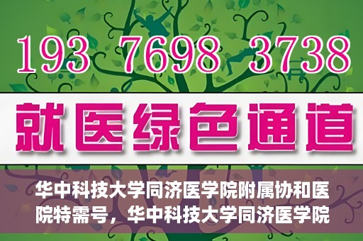 华中科技大学同济医学院附属协和医院特需号，华中科技大学同济医学院附属协和医院特需号，尊贵医疗体验，专业健康守护