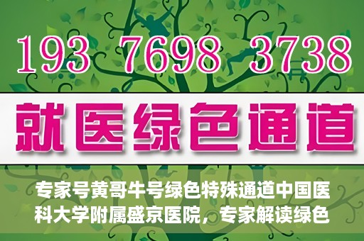 专家号黄哥牛号绿色特殊通道中国医科大学附属盛京医院，专家解读绿色特殊通道，盛京医院黄哥牛号背后的故事
