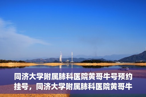 同济大学附属肺科医院黄哥牛号预约挂号，同济大学附属肺科医院黄哥牛预约挂号攻略，轻松预约专家号