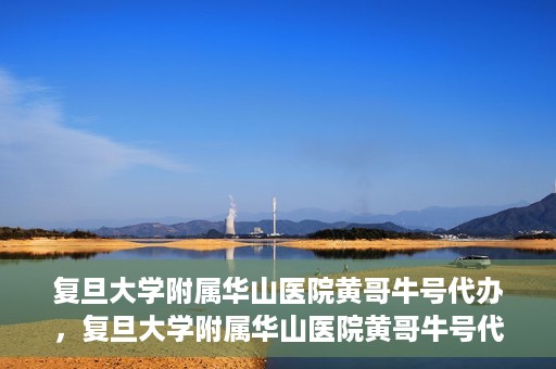 复旦大学附属华山医院黄哥牛号代办，复旦大学附属华山医院黄哥牛号代办，就医无忧，专业代办服务助您轻松就医体验