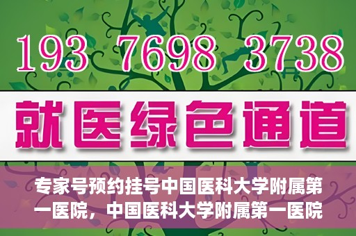 专家号预约挂号中国医科大学附属第一医院，中国医科大学附属第一医院专家号预约挂号攻略