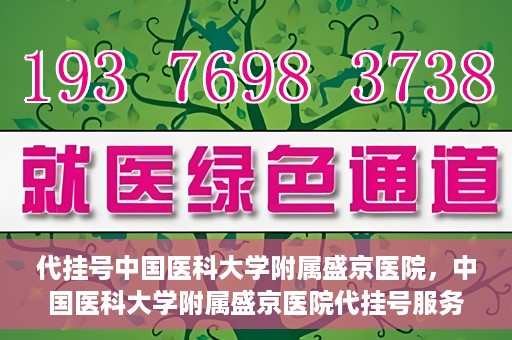 代挂号中国医科大学附属盛京医院，中国医科大学附属盛京医院代挂号服务详解