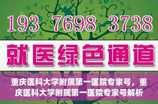重庆医科大学附属第一医院专家号，重庆医科大学附属第一医院专家号解析，专业团队与尖端医疗的完美结合