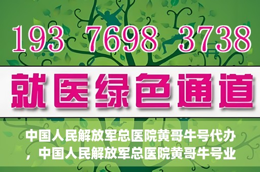 中国人民解放军总医院黄哥牛号代办，中国人民解放军总医院黄哥牛号业务代办揭秘
