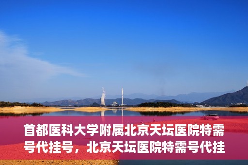 首都医科大学附属北京天坛医院特需号代挂号，北京天坛医院特需号代挂号服务详解