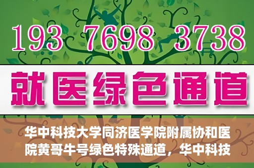 华中科技大学同济医学院附属协和医院黄哥牛号绿色特殊通道，华中科技大学同济医学院附属协和医院黄哥牛号绿色就医特殊通道揭秘