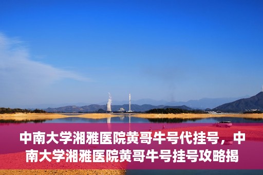 中南大学湘雅医院黄哥牛号代挂号，中南大学湘雅医院黄哥牛号挂号攻略揭秘