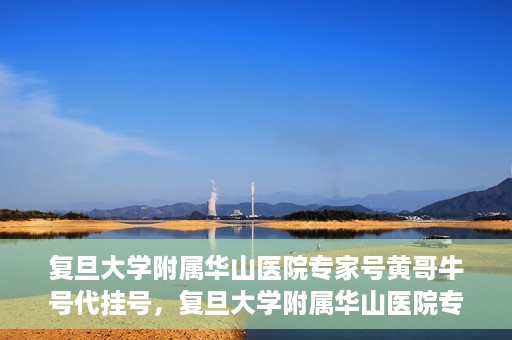 复旦大学附属华山医院专家号黄哥牛号代挂号，复旦大学附属华山医院专家号代挂号背后的故事，黄哥牛号的信任与挑战