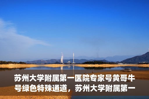 苏州大学附属第一医院专家号黄哥牛号绿色特殊通道，苏州大学附属第一医院专家号绿色通道，黄哥牛号揭秘特殊通道内幕