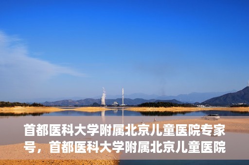 首都医科大学附属北京儿童医院专家号，首都医科大学附属北京儿童医院专家号解析，权威医疗团队的专业解读与诊疗服务