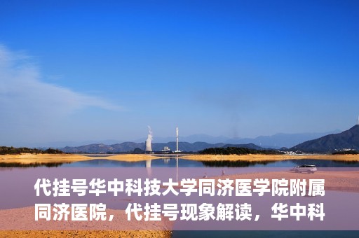 代挂号华中科技大学同济医学院附属同济医院，代挂号现象解读，华中科技大学同济医学院附属同济医院的医疗管理与挑战