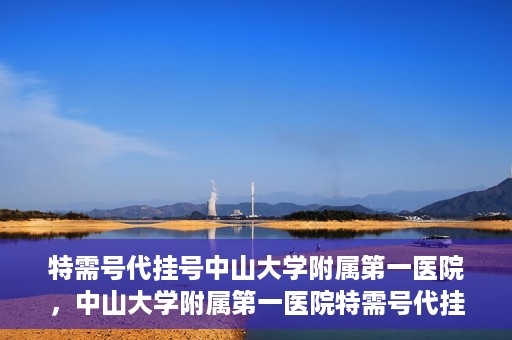 特需号代挂号中山大学附属第一医院，中山大学附属第一医院特需号代挂号服务解析