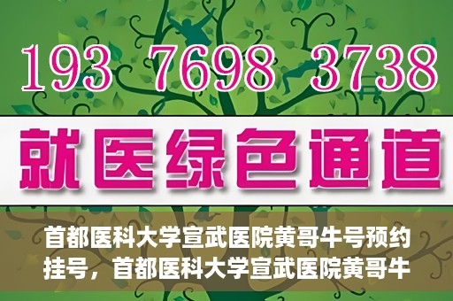 首都医科大学宣武医院黄哥牛号预约挂号，首都医科大学宣武医院黄哥牛号，预约挂号攻略