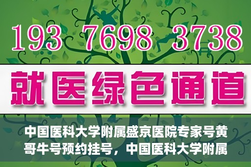 中国医科大学附属盛京医院专家号黄哥牛号预约挂号，中国医科大学附属盛京医院专家黄哥牛号预约挂号攻略
