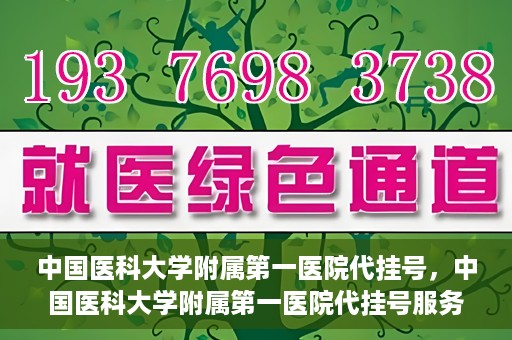 中国医科大学附属第一医院代挂号，中国医科大学附属第一医院代挂号服务详解