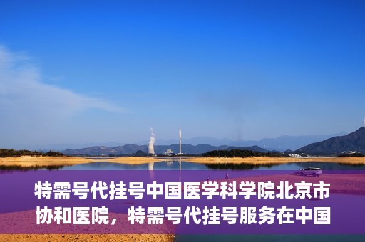 特需号代挂号中国医学科学院北京市协和医院，特需号代挂号服务在中国医学科学院北京市协和医院详解