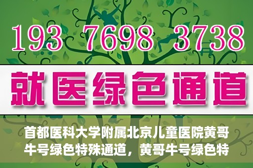 首都医科大学附属北京儿童医院黄哥牛号绿色特殊通道，黄哥牛号绿色特殊通道——北京儿童医院创新医疗服务的探索与实践