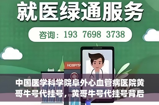 中国医学科学院阜外心血管病医院黄哥牛号代挂号，黄哥牛号代挂号背后的故事，阜外心血管病医院的探索与挑战
