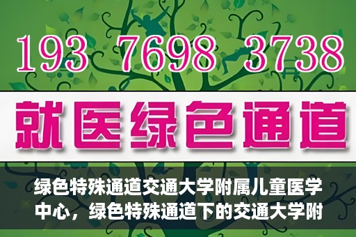绿色特殊通道交通大学附属儿童医学中心，绿色特殊通道下的交通大学附属儿童医学中心探索