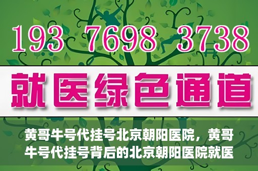 黄哥牛号代挂号北京朝阳医院，黄哥牛号代挂号背后的北京朝阳医院就医现象观察