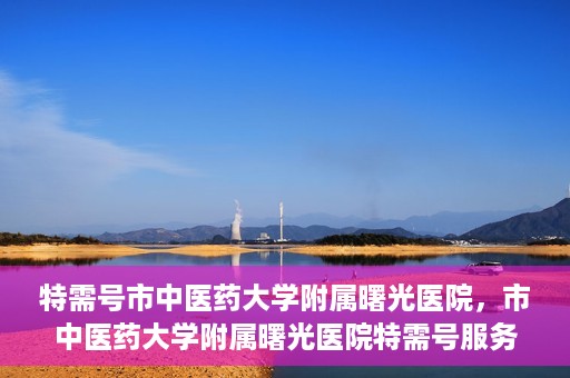 特需号市中医药大学附属曙光医院，市中医药大学附属曙光医院特需号服务探索与实践