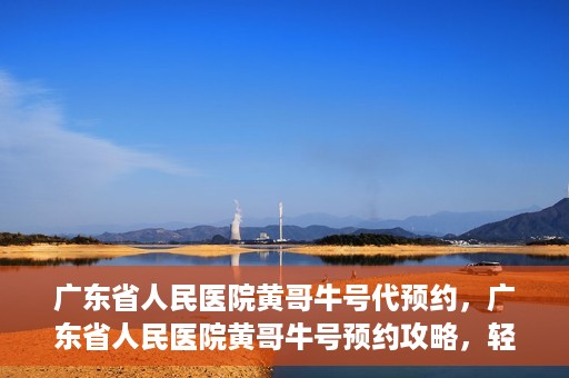 广东省人民医院黄哥牛号代预约，广东省人民医院黄哥牛号预约攻略，轻松掌握预约流程