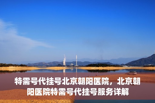 特需号代挂号北京朝阳医院，北京朝阳医院特需号代挂号服务详解