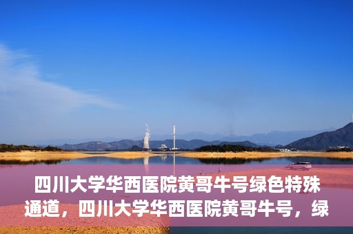四川大学华西医院黄哥牛号绿色特殊通道，四川大学华西医院黄哥牛号，绿色特殊通道开启生命之门