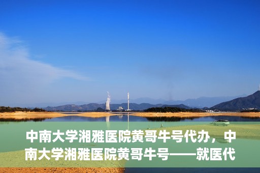 中南大学湘雅医院黄哥牛号代办，中南大学湘雅医院黄哥牛号——就医代办服务详解