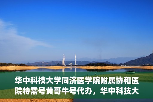 华中科技大学同济医学院附属协和医院特需号黄哥牛号代办，华中科技大学同济医学院附属协和医院特需号专家预约代办服务解析
