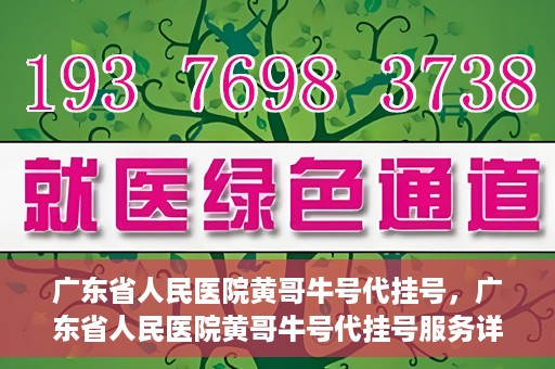 广东省人民医院黄哥牛号代挂号，广东省人民医院黄哥牛号代挂号服务详解