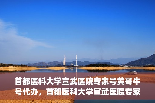 首都医科大学宣武医院专家号黄哥牛号代办，首都医科大学宣武医院专家号‘黄哥牛号’预约代办服务解析