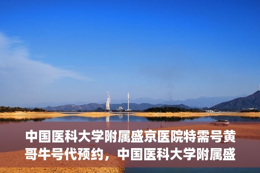 中国医科大学附属盛京医院特需号黄哥牛号代预约，中国医科大学附属盛京医院特需号预约专家黄哥牛号揭秘，一站式预约服务新体验