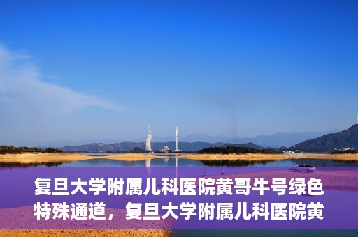 复旦大学附属儿科医院黄哥牛号绿色特殊通道，复旦大学附属儿科医院黄哥牛号，绿色特殊通道的温暖守护