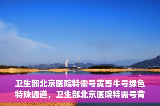 卫生部北京医院特需号黄哥牛号绿色特殊通道，卫生部北京医院特需号背后的黄哥牛号，绿色通道的神秘面纱