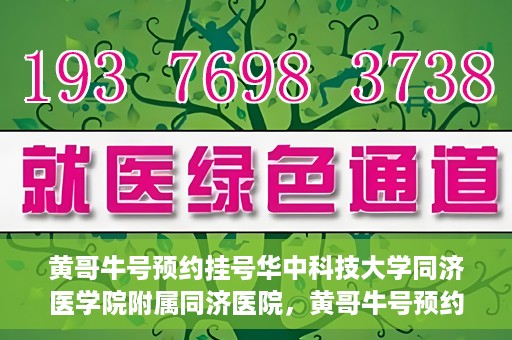 黄哥牛号预约挂号华中科技大学同济医学院附属同济医院，黄哥牛号预约挂号服务，华中科技大学同济医学院附属同济医院便捷就医新体验