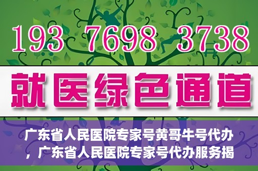 广东省人民医院专家号黄哥牛号代办，广东省人民医院专家号代办服务揭秘，黄哥牛号助您轻松预约专家号