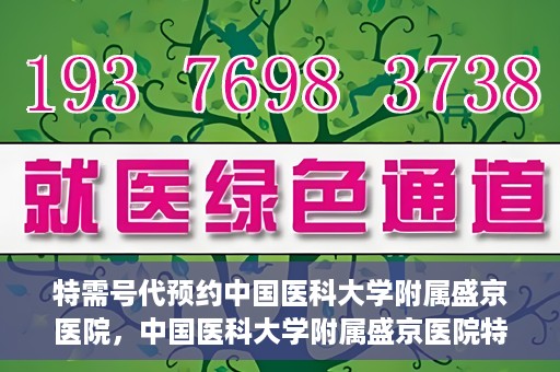 特需号代预约中国医科大学附属盛京医院，中国医科大学附属盛京医院特需号代预约服务详解