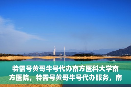 特需号黄哥牛号代办南方医科大学南方医院，特需号黄哥牛号代办服务，南方医科大学南方医院就医指南