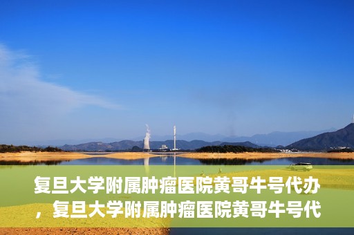 复旦大学附属肿瘤医院黄哥牛号代办，复旦大学附属肿瘤医院黄哥牛号代办，真相揭秘与深度解析