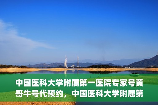 中国医科大学附属第一医院专家号黄哥牛号代预约，中国医科大学附属第一医院专家号预约服务解析，黄哥牛号代预约详解